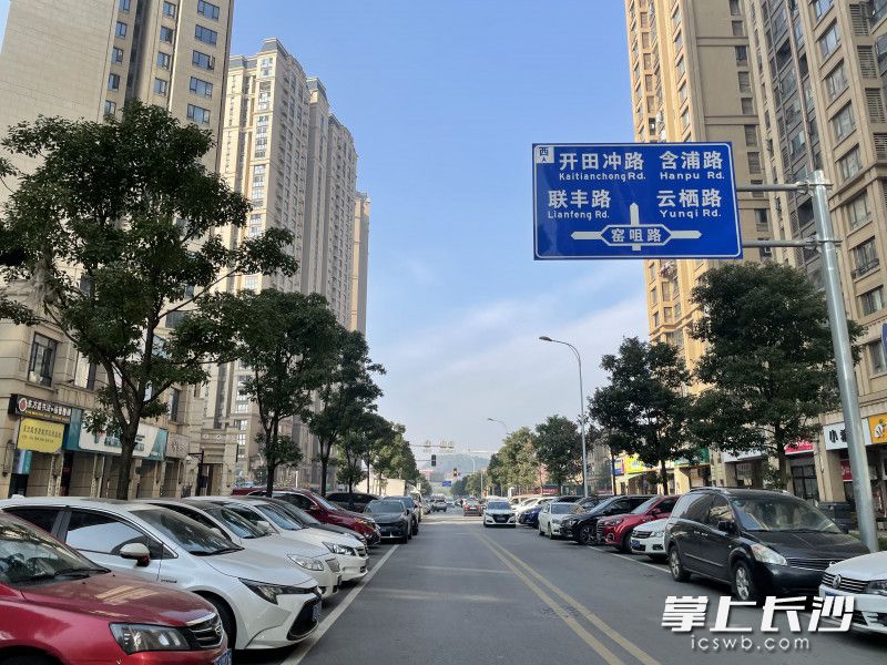 片区内的道路长期存在乱停车现场。