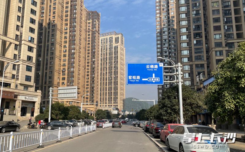 龙迴塘路上，车辆公然停放在路中央。 长沙晚报全媒体记者 张洋子 摄