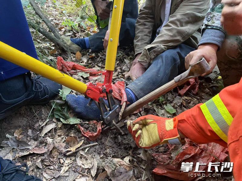 现场，消防救援人员使用破拆工具对捕兽夹进行破拆。均为长沙晚报通讯员 熊方圆 供图