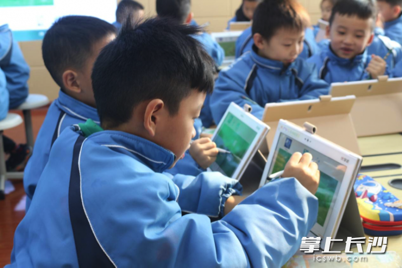 学生们利用智慧平台进行作业及时反馈。