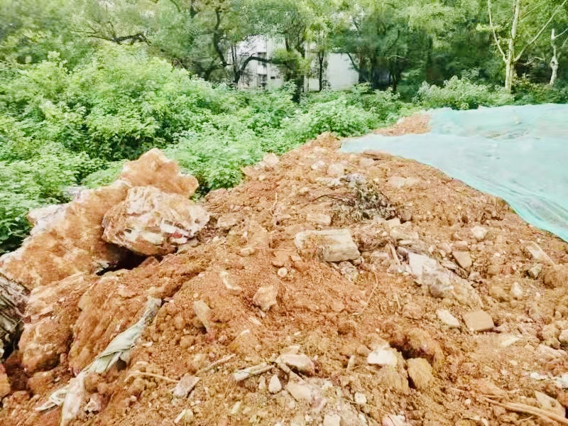 老长沙动物园的公园绿地被渣土垃圾山蚕食。 通讯员 杨龙 供图 