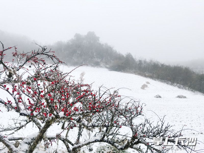 壶瓶山雪中美景