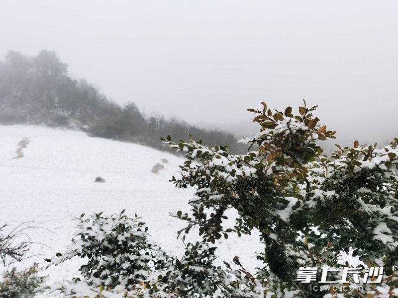 壶瓶山下雪了
