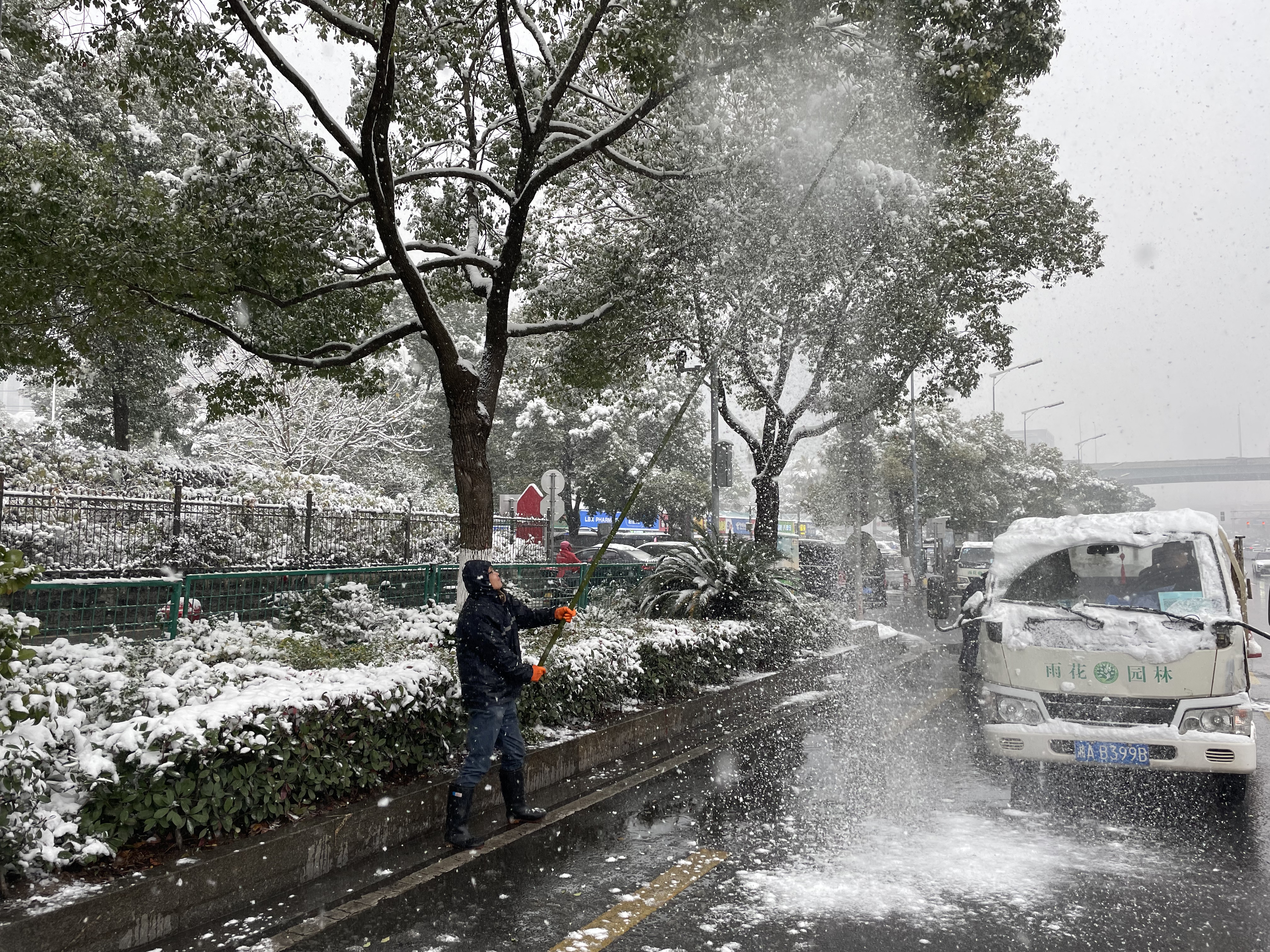 风雪中，240余名雨花园林应急人员高效开展清障扶树工作。  长沙晚报通讯员  杨佳 摄