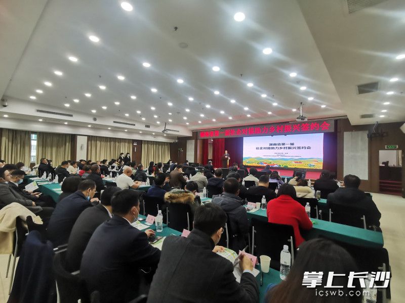 签约会现场。