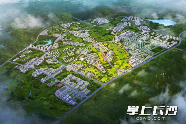天鹅山大学科创城规划图