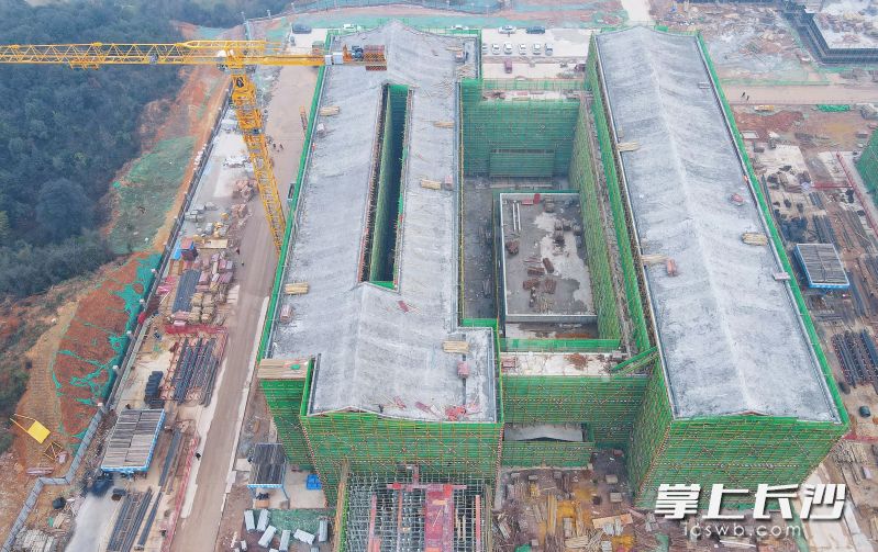 1月4日，长沙幼儿师范高等专科学校建设项目主体结构顺利封顶，标志着项目建设取得阶段性进展。长沙晚报全媒体记者 陈焕明 通讯员 曹安江 摄影报道