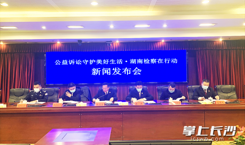 发布会现场。长沙晚报全媒体记者 邓艳红 摄