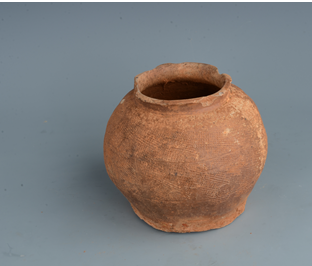 地质中学考古工地出土的陶罐。