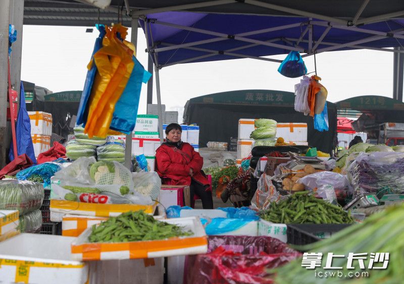 园区内的商贩。均为长沙晚报全媒体记者 刘晓敏 摄