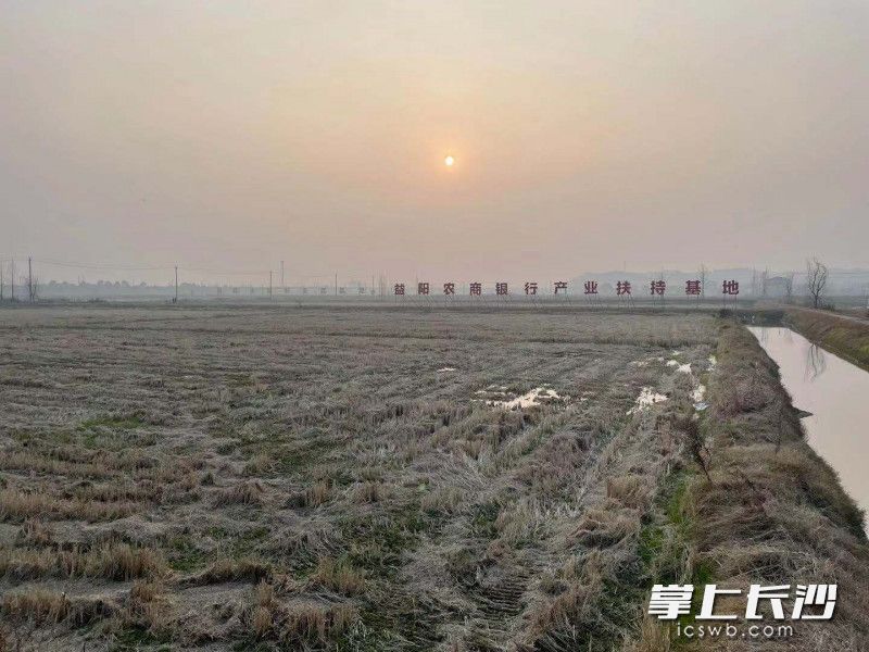 2100亩的稻虾供养基地，成为谢林港镇的新农品。