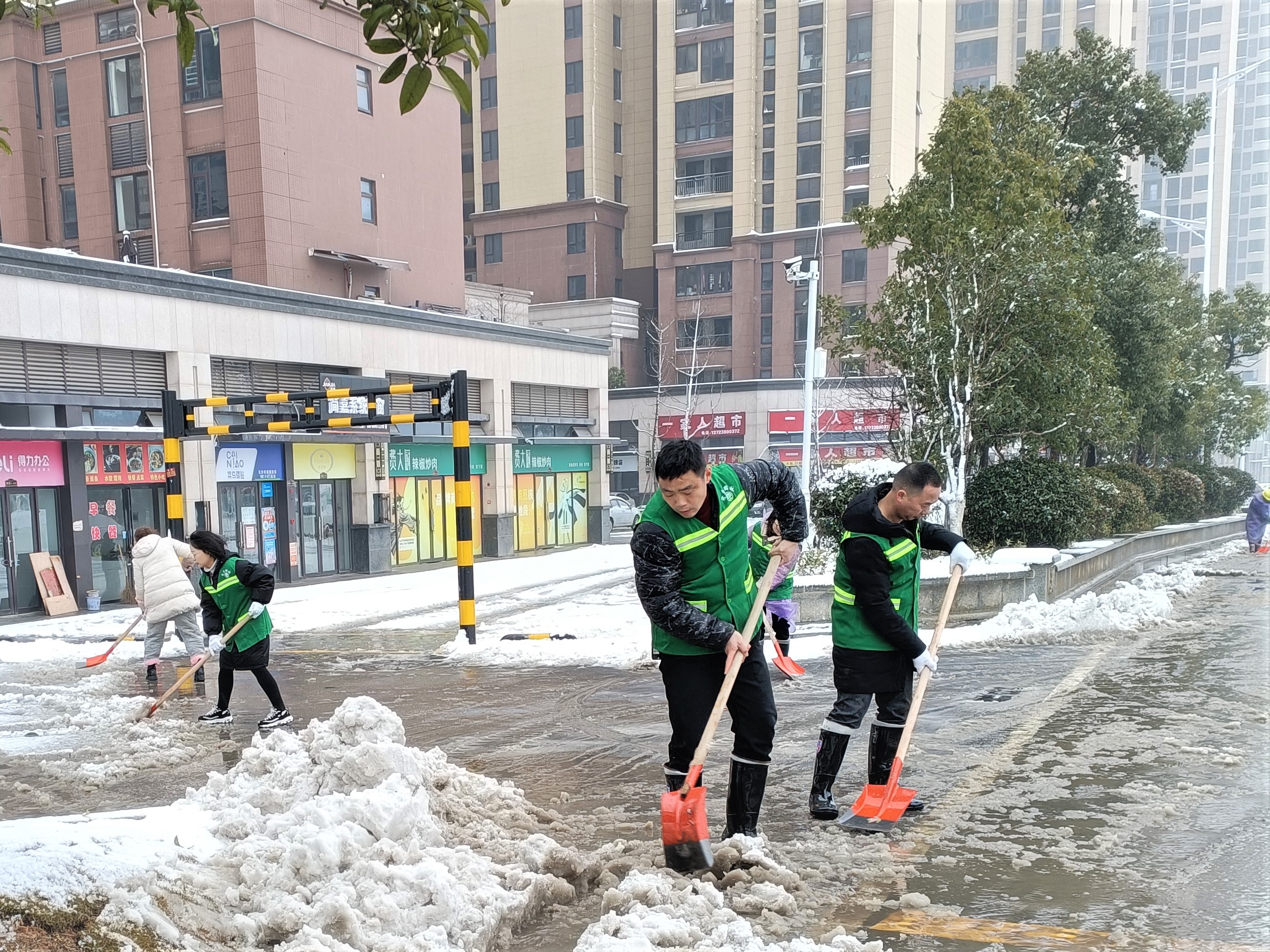 宁乡市城管局园林绿化维护中心组织党员干部及职工进行扫雪、撒盐、除冰等工作。长沙晚报全媒体记者 张禹 通讯员 张宏艳 摄影报道 