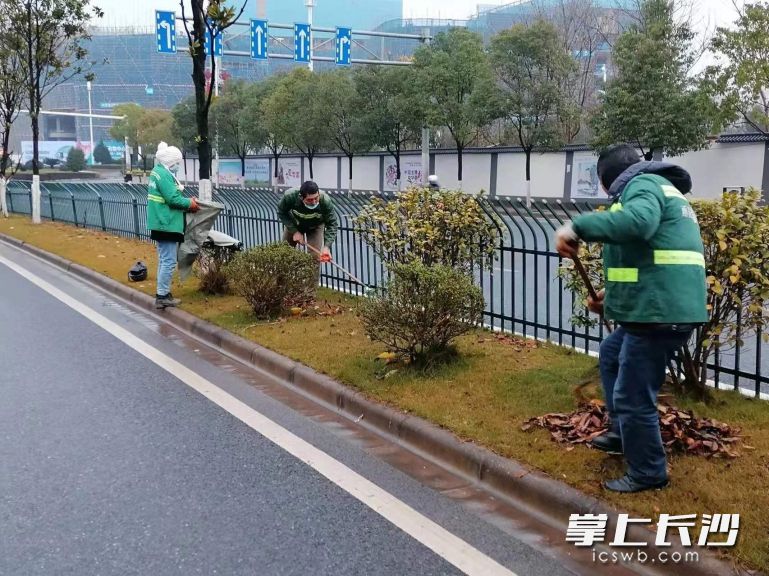 春节期间，城市的主干道上，社区公园、游园等公共绿地，随处可见雨花区园林工作人员坚守一线的忙碌身影。长沙晚报通讯员  杨佳 摄