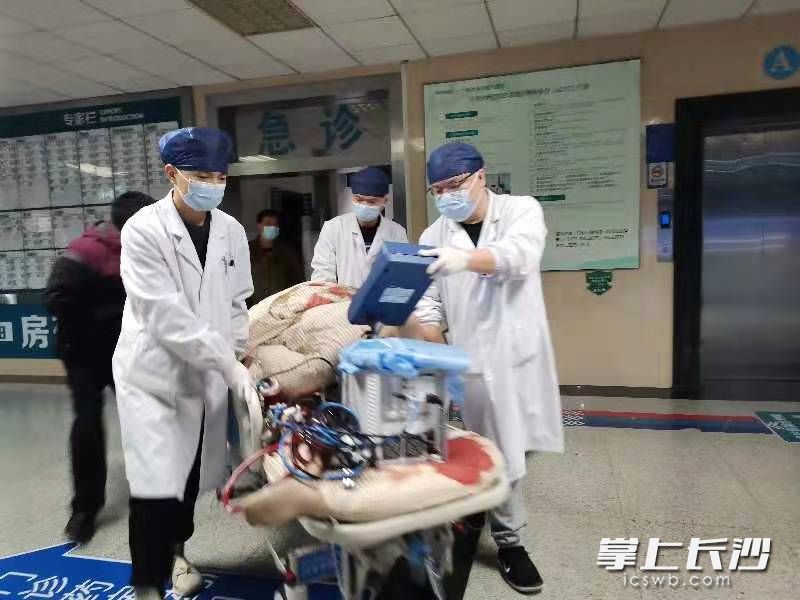 急诊科医务人员紧急转运患者至救治室。
