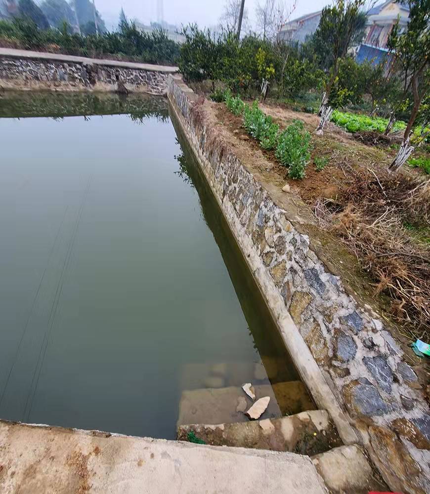 事发池塘。 事发池塘。