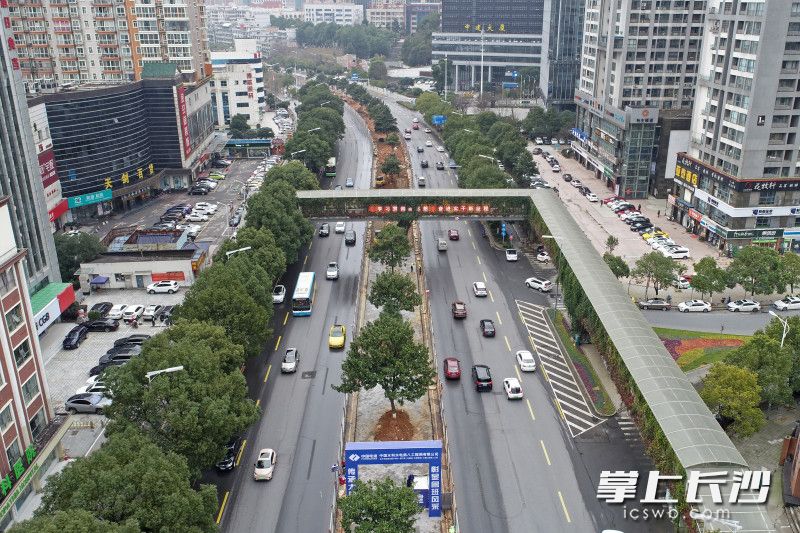 长沙地铁7号线正塘坡路站内，韶山路中央绿化带已被围挡，目前正在进行交通疏解施工，预计3月中旬实现车站主体动工。