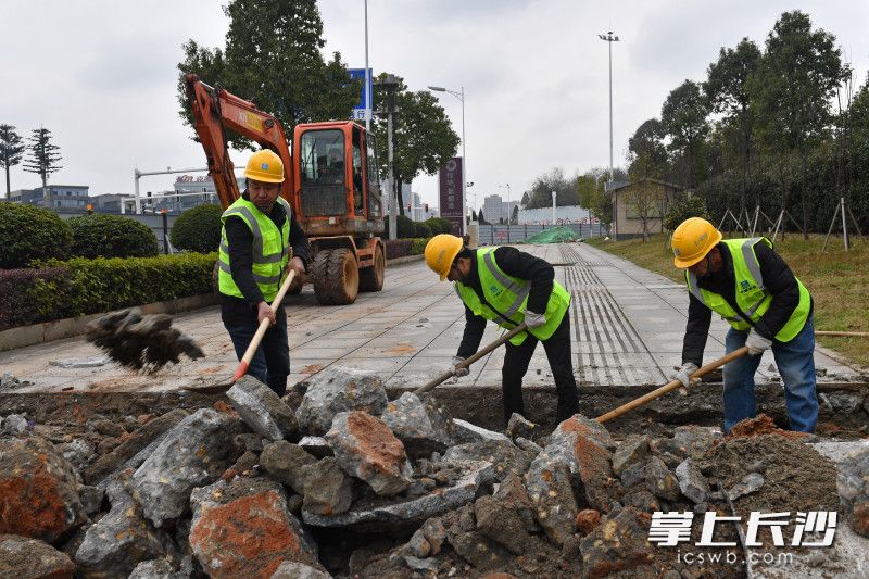 2月8日，长沙地铁7号线环保大道站内，工人们紧张进行管线探挖施工。 均为长沙晚报全媒体记者 王志伟 通讯员 曹裕泽 摄影报道