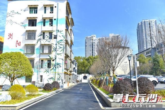 改造后的百川里片区焕然一新。浏发集团供图