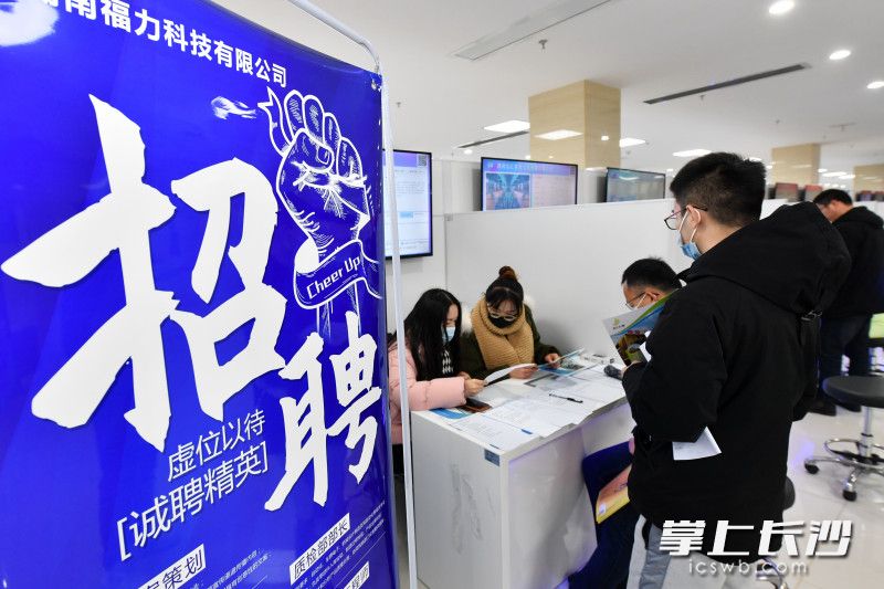 今日上午，“才聚星沙”人才市场综合招聘会举行。 均为长沙晚报全媒体记者 王志伟 通讯员 曹裕泽 摄影报道