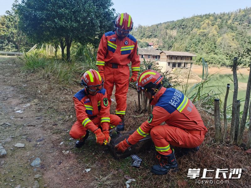 在村民和消防救援人员的救助下，两只国际二级保护动物踏上了“回家”之路。 均为长沙县消防救援队供图