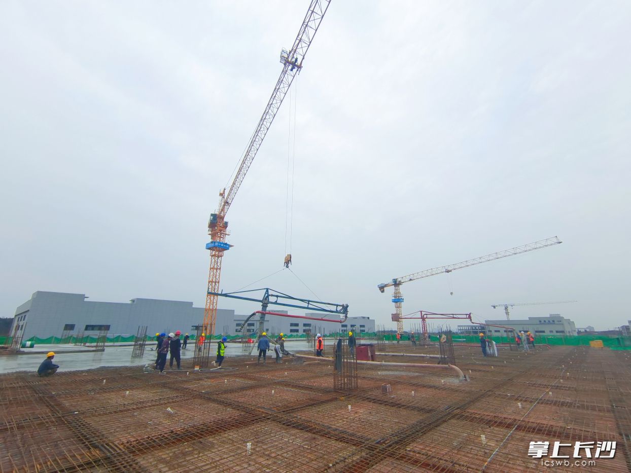 长沙黄花综保区A区二期项目建设现场。    均为长沙晚报通讯员李丹摄