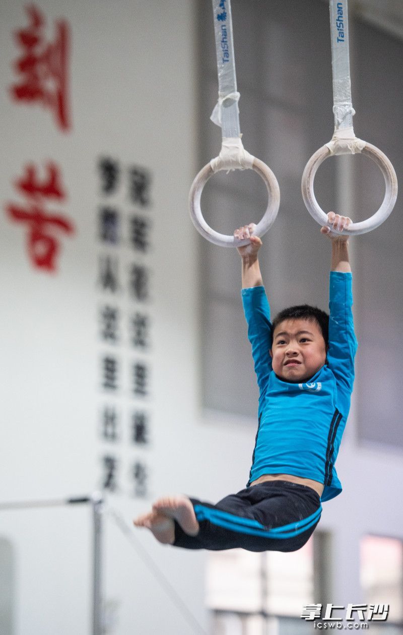 长沙市体操学校，运动员正在刻苦训练，备战省运会。长沙晚报全媒体记者 邹麟 摄