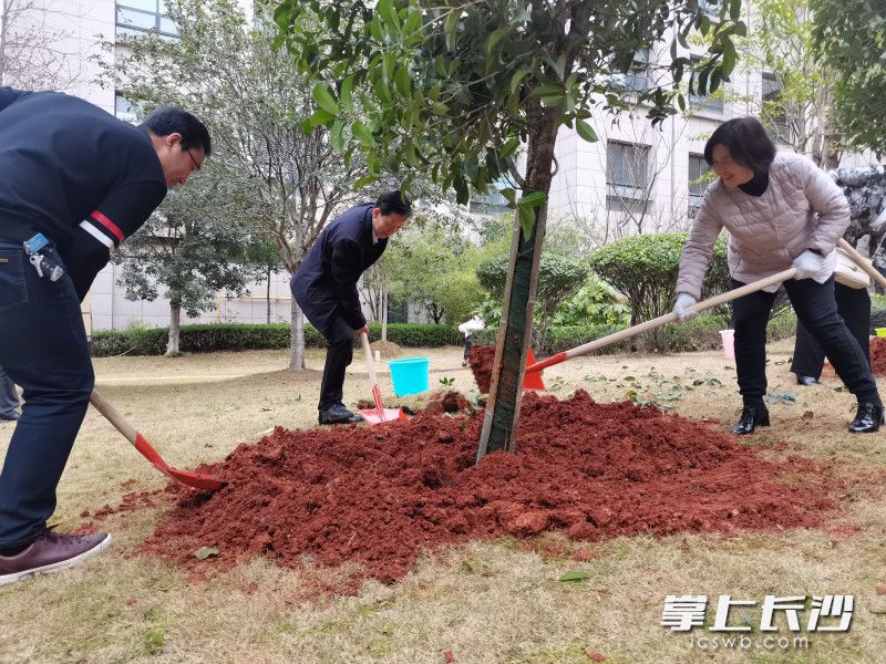 活动参与者共同植树。长沙晚报实习生 罗杨 摄