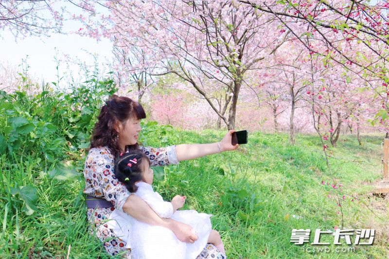 不少市民前来打卡拍照，与春天合影。