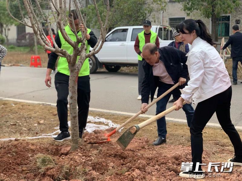 活动现场，党群栽种同心村。