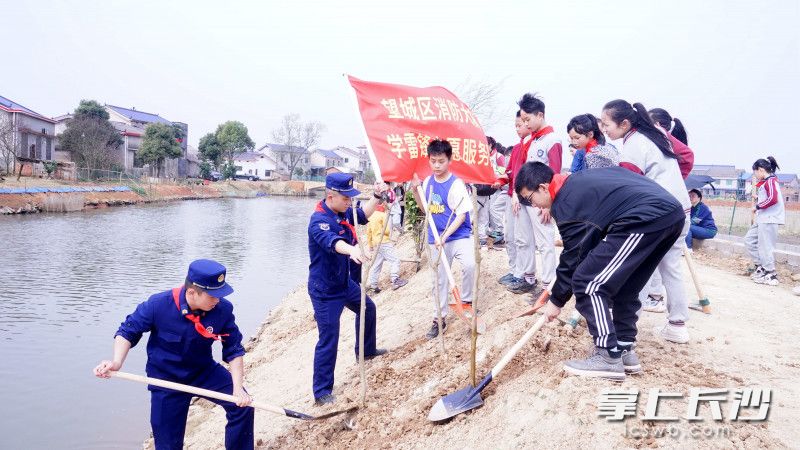消防员和同学们一起种下“雷锋树”。