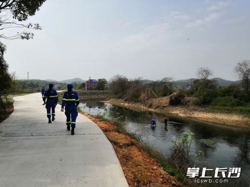 岳麓蓝天的队员们分组进行寻找。均为岳麓蓝天 供图