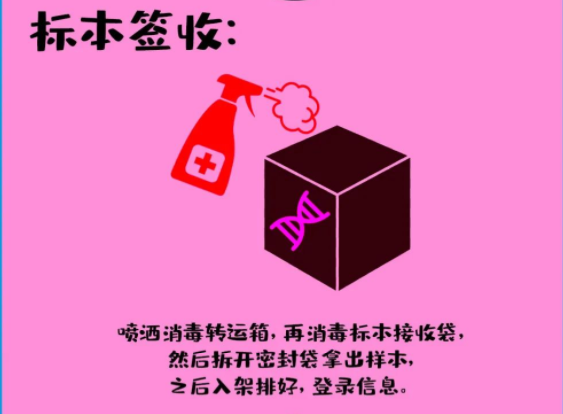 标本签收：喷洒消毒转运箱，再消毒标本接收袋，然后拆开密封袋拿出样本，之后入架排好，登录信息。