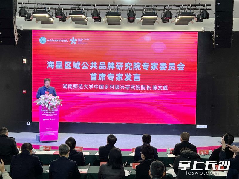 海星区域公共品牌研究院成立新闻发布会暨湖南师范大学中国乡村振兴研究院战略合作签约仪式在长沙举行。全媒体记者 刘俊 摄