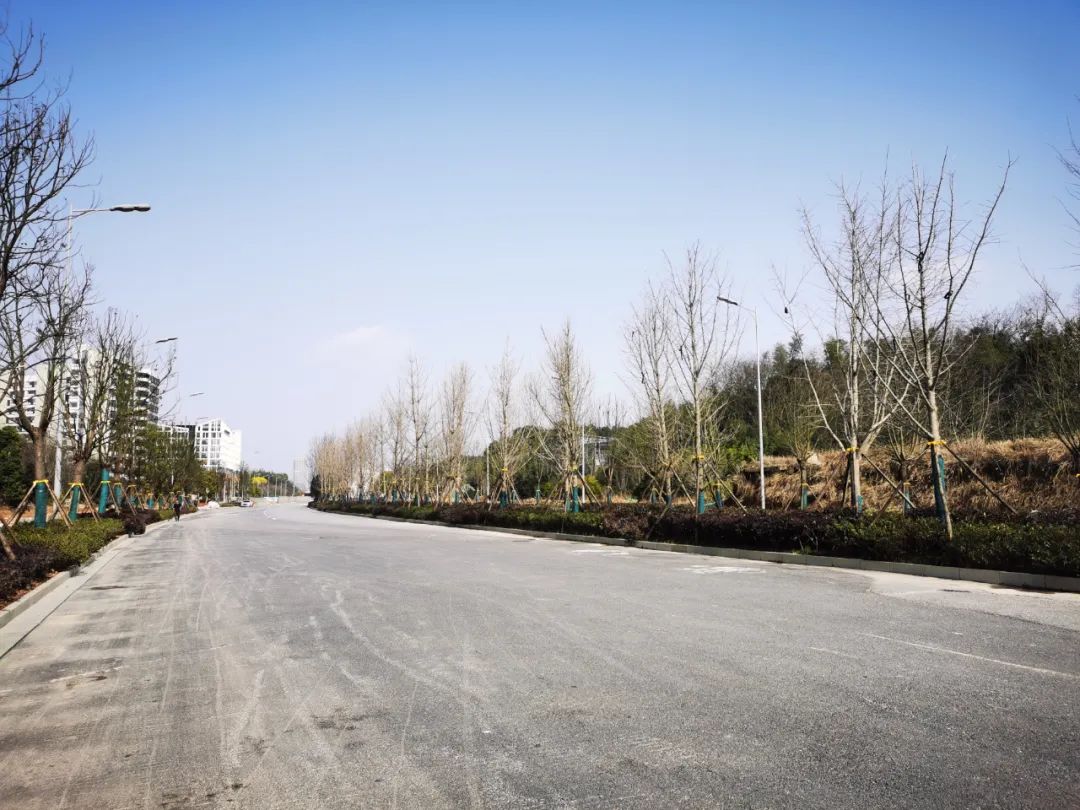 6号线沿线正全面推进站点建成后的道路市政设施恢复工作