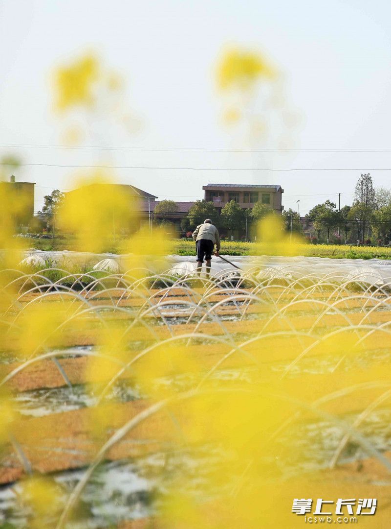 不负农时备耕忙。