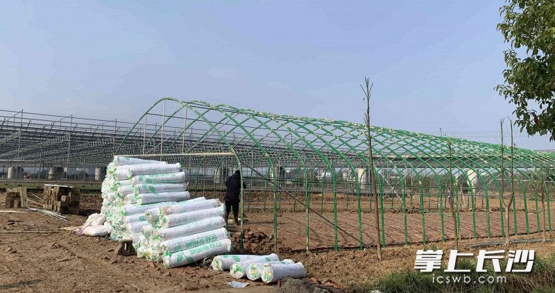 农资备到田间地头。