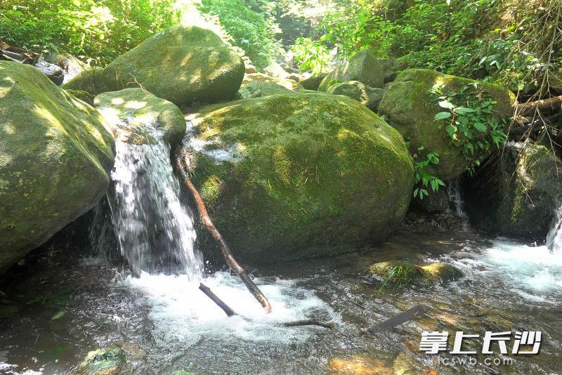 大围山上溪水长流。