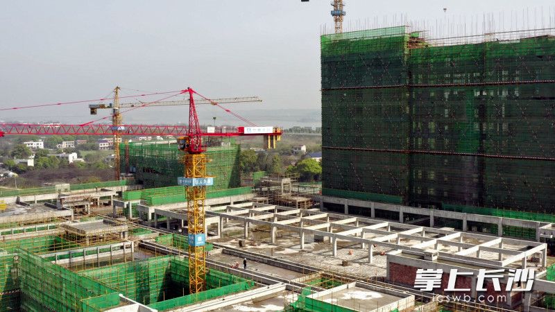 望城区人民医院整体搬迁项目施工现场