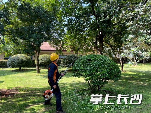 利用疫情防控期间整修花木。 利用疫情防控期间整修花木。