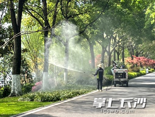 清理园内卫生死角。 清理园内卫生死角。