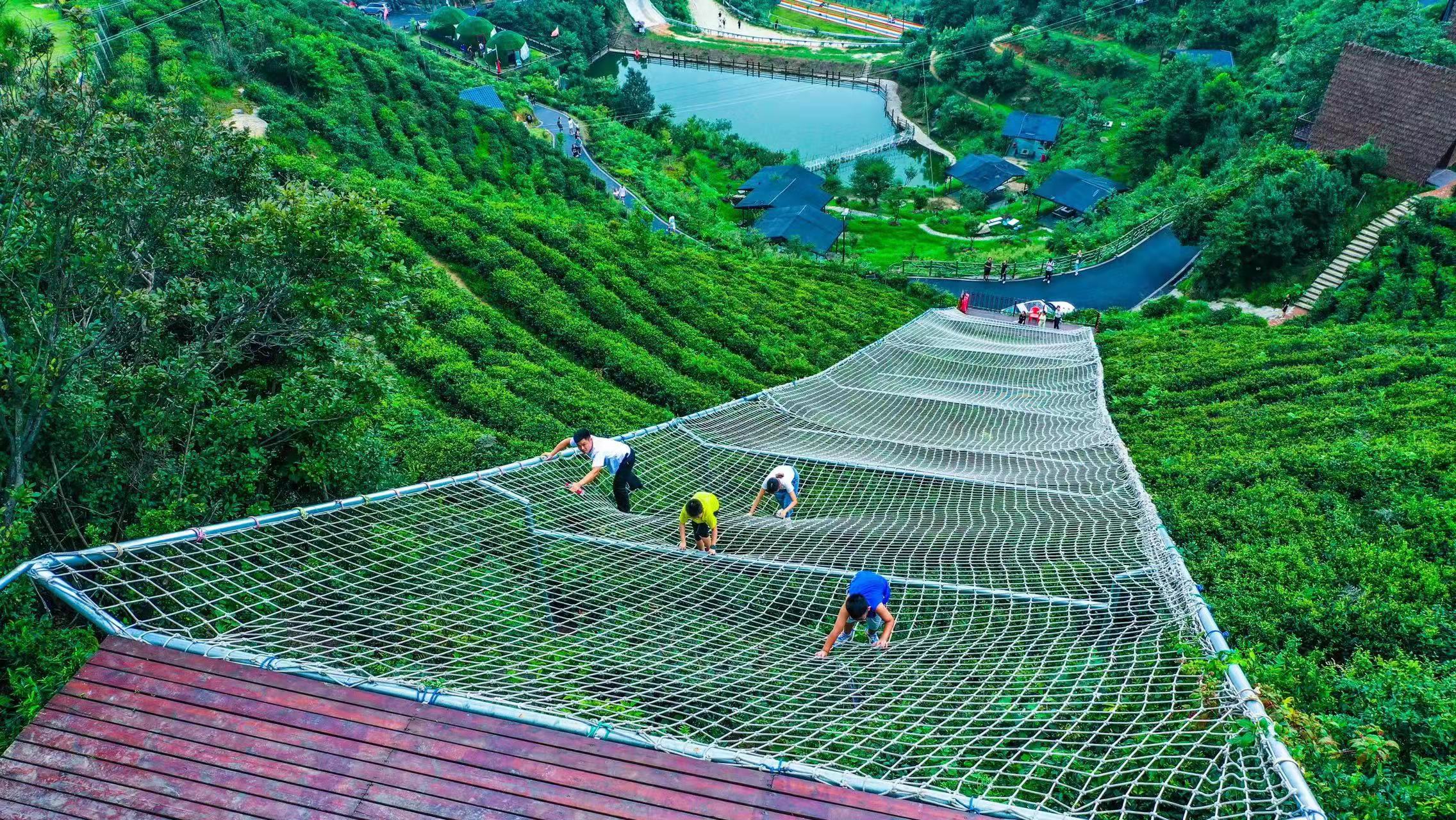 沉寂了半个月的星空茶园内，再次热闹起来。 长沙晚报全媒体记者 朱华 摄
