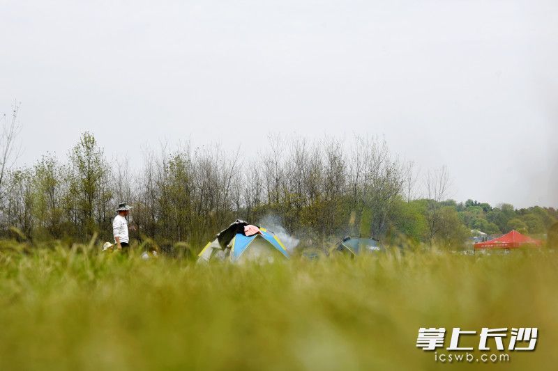 有部分露营者会在露营时烧烤，油烟对他人造成困扰。长沙晚报全媒体记者 刘琦 摄