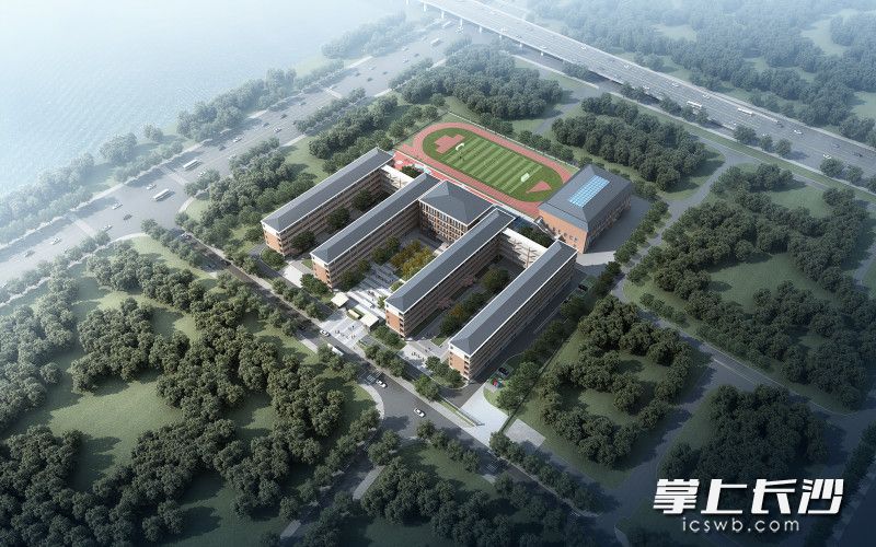 效果图