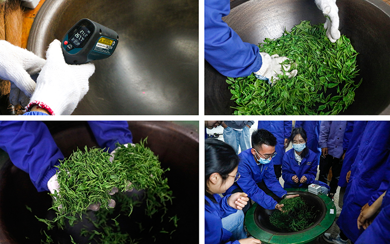杀青:通过高温破坏和钝化鲜叶中的氧化酶活性,抑制鲜叶中的茶多酚等的酶促氧化,蒸发鲜叶部分水分,使茶叶变软,便于揉捻成形,同时促进良好香气的形成。 杀青:通过高温破坏和钝化鲜叶中的氧化酶活性,抑制鲜叶中的茶多酚等的酶促氧化,蒸发鲜叶部分水分,使茶叶变软,便于揉捻成形,同时促进良好香气的形成。