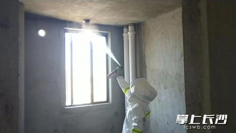 消防员用杀虫剂消灭马蜂窝。长沙晚报通讯员 刘雅莉 供图