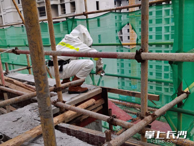 消防员从高处向下消灭马蜂。长沙晚报通讯员 杨来富 供图