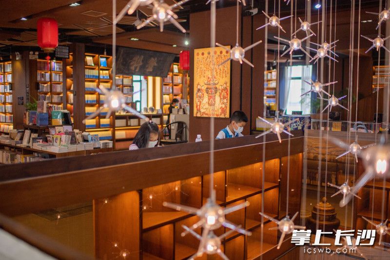 拙鱼书房力求构设一处随心、随性、自然、自在的文化空间。长沙晚报全媒体记者 邹麟 摄