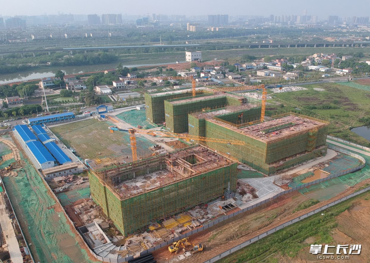 26日，位于长沙会展片区的重点民生工程松树中、小学以及片区地铁消防站建设工程实现主体封顶。  均为长沙晚报全媒体记者 陈焕明 通讯员 陈苹 摄影报道