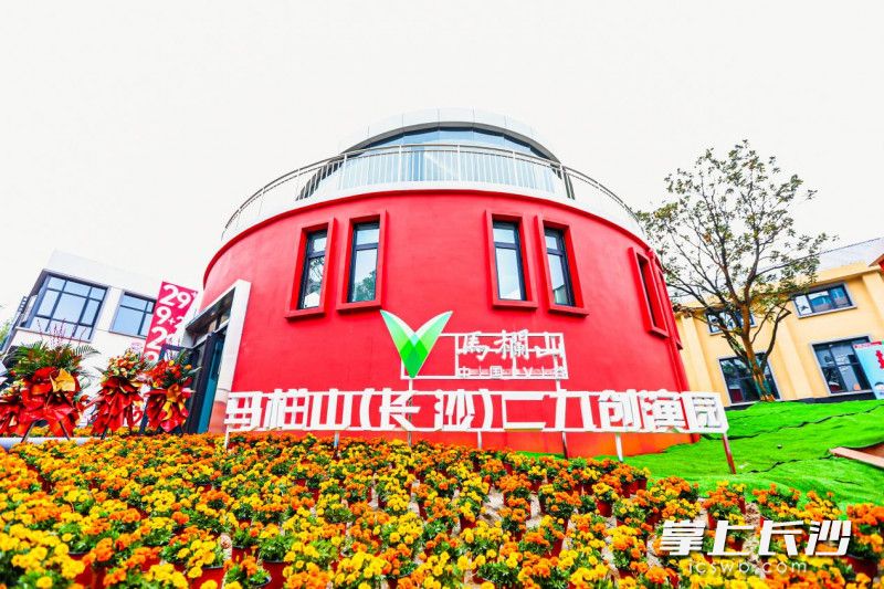 马栏山二九创演园。图片为受访者提供