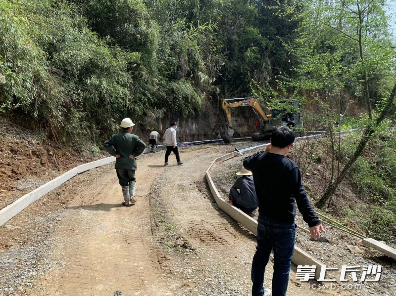 2个月内完成了4条产业路的修建。通讯员供图